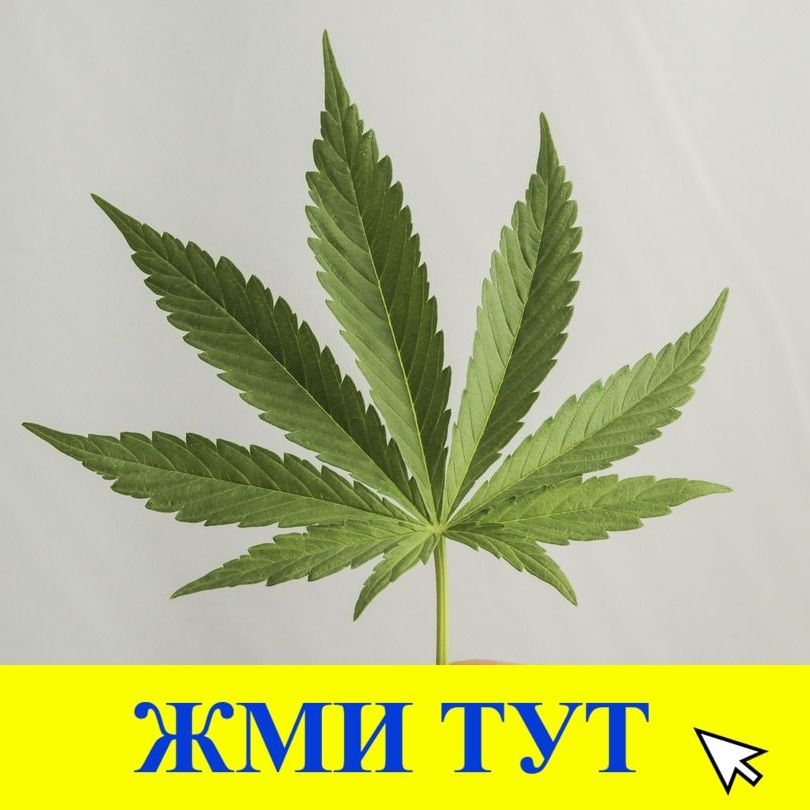 Купить наркотики в Карачаевске